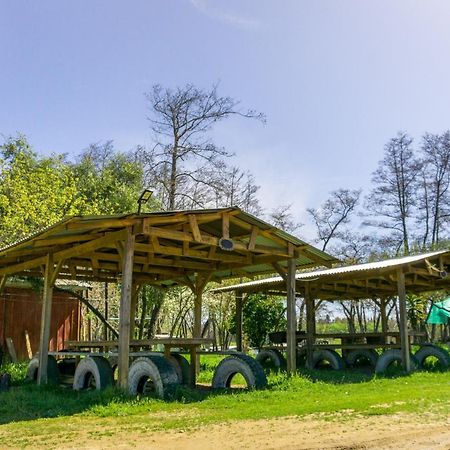 Coyunche Cabanas Y Camping Laja & San Rosendo Exterior photo