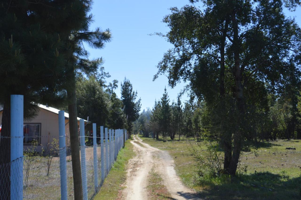 Coyunche Cabanas Y Camping Laja & San Rosendo Exterior photo