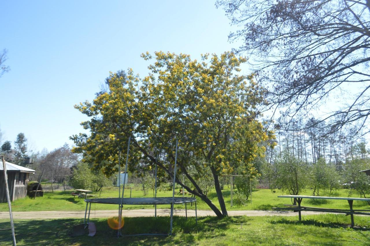 Coyunche Cabanas Y Camping Laja & San Rosendo Exterior photo